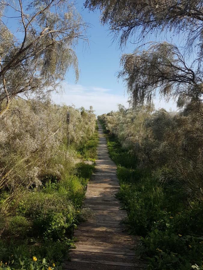 Mar Διαμέρισμα Isla del Moral Εξωτερικό φωτογραφία